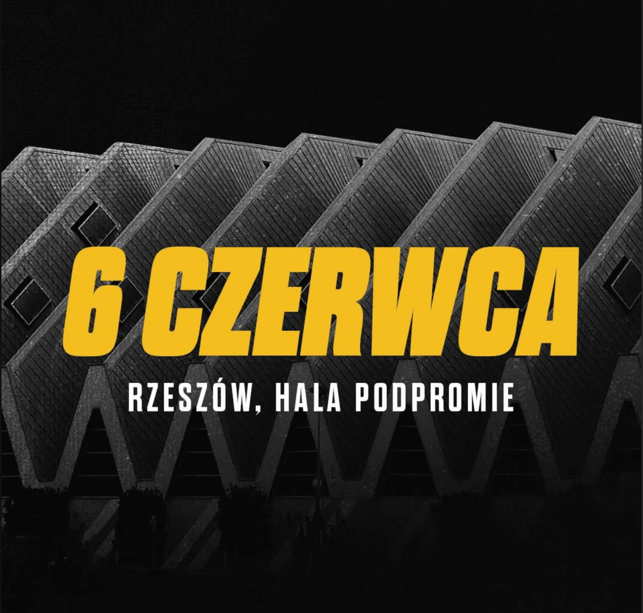 Zawodnicy Top Fight Series w klatce